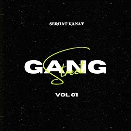 Gang Street