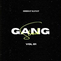 Gang Street