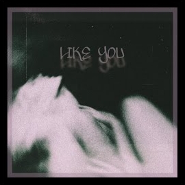 Like You