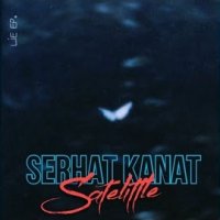 Satelittle