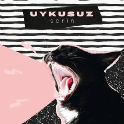Uykusuz