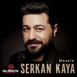 Mesele