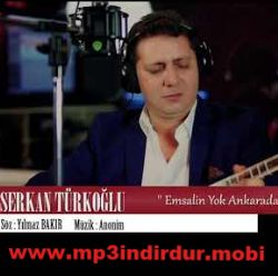Emsalin Yok Ankarada