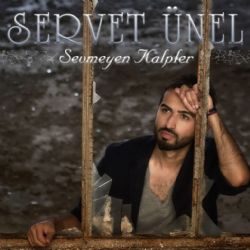 Sevmeyen Kalpler
