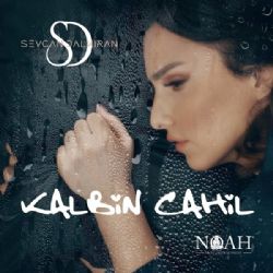 Kalbin Cahil