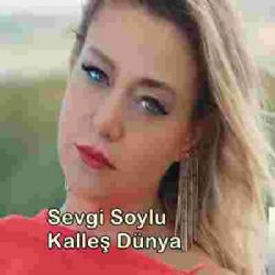Kalleş Dünya