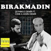 Bırakmadın