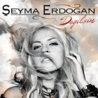 Değilsin