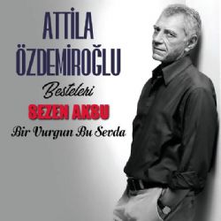 Bir Vurgun Bu Sevda