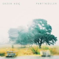 Partiküller