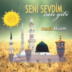 Seni Sevdim Can Gibi
