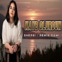 Kayb Olurdun