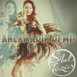 Anlamadın Di Mi