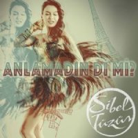 Anlamadın Di Mi