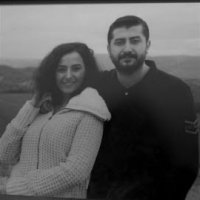 Dallarımı Kırdılar