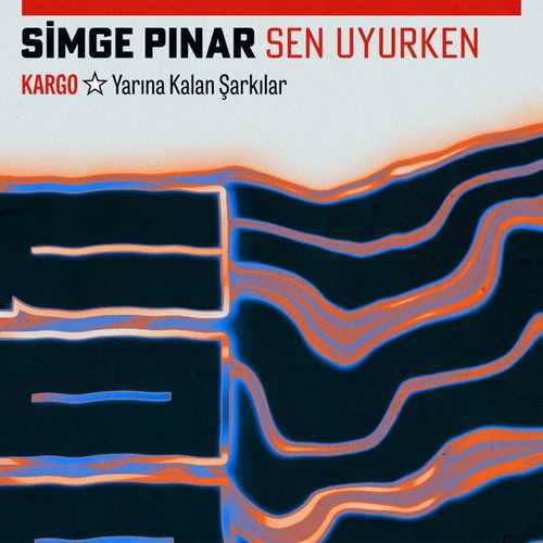 Sen Uyurken