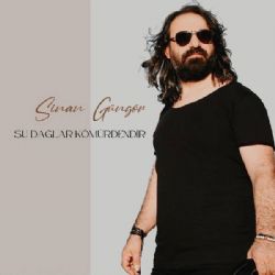 Şu Dağlar Kömürdendir