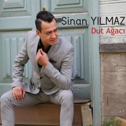 Dut Ağacı