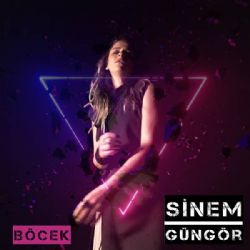 Böcek