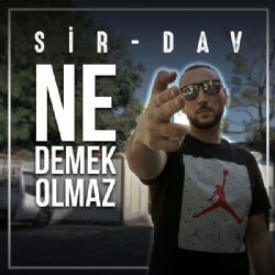 Ne Demek Olmaz