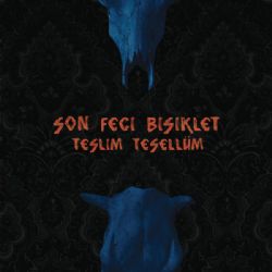 Teslim Tesellüm