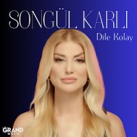 Dile Kolay