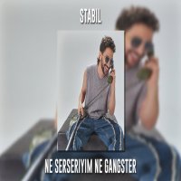 Ne Serseriyim Ne Gangster