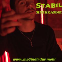 Reenkarne