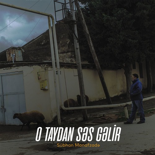 O Taydan Ses Gelir