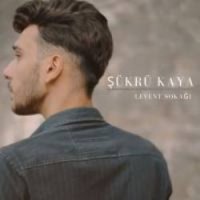 Levent Sokağı