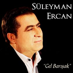 Gel Barışak