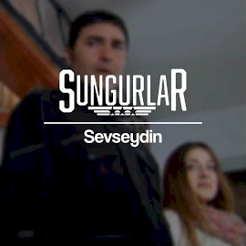 Sevseydin