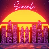 Seninle