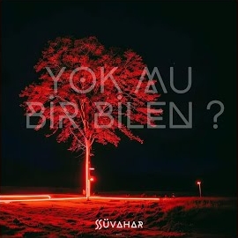 Yok Mu Bir Bilen