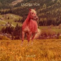Endişe Yok