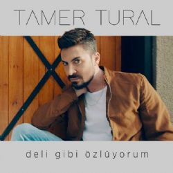 Deli Gibi Özlüyorum
