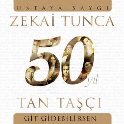 Git Gidebilirsen