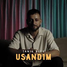 Usandım