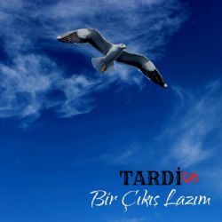 Bir Çıkış Lazım