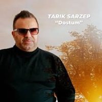 Dostum