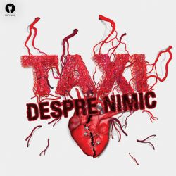 Despre Nimic