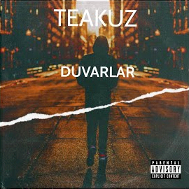 Duvarlar