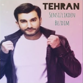 Sensizlikden Bezdim