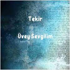 Üvey Sevgilim