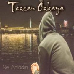 Ne Anladın
