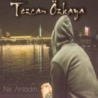 Ne Anladın