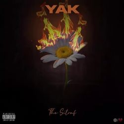 Yak
