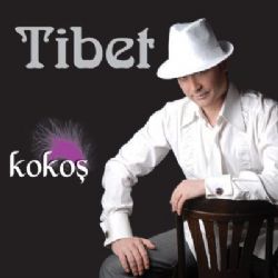 Kokoş