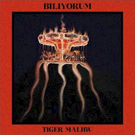 Biliyorum