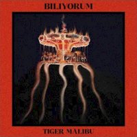 Biliyorum